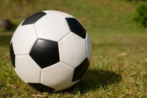 Balón sobre césped, imagen ilustrativa de la noticia de los 50 goles de Fredy Montero